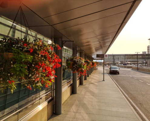 exterior for Alberta Tropical Plants Flowers Flower Baskets